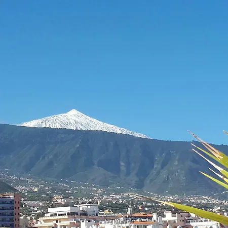Estudio Palacios * Puerto de la Cruz (Tenerife)